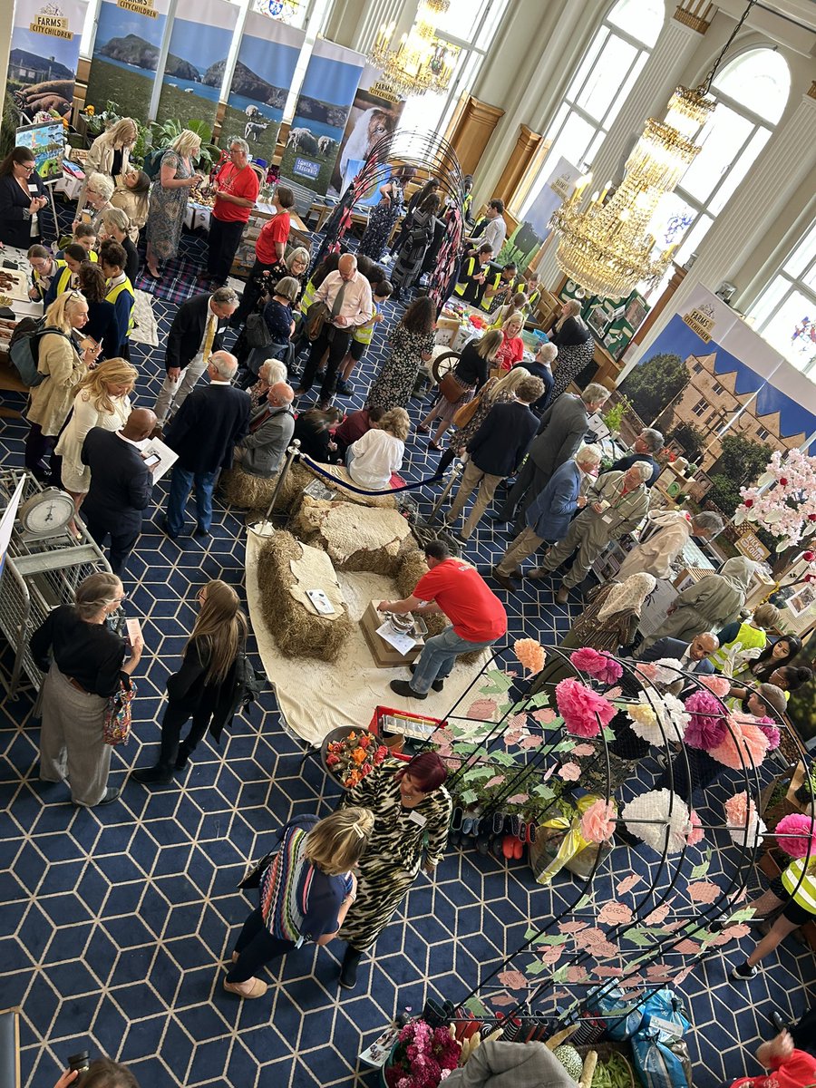 Donna Marie Edmonds FRSA (she/her) tweet media