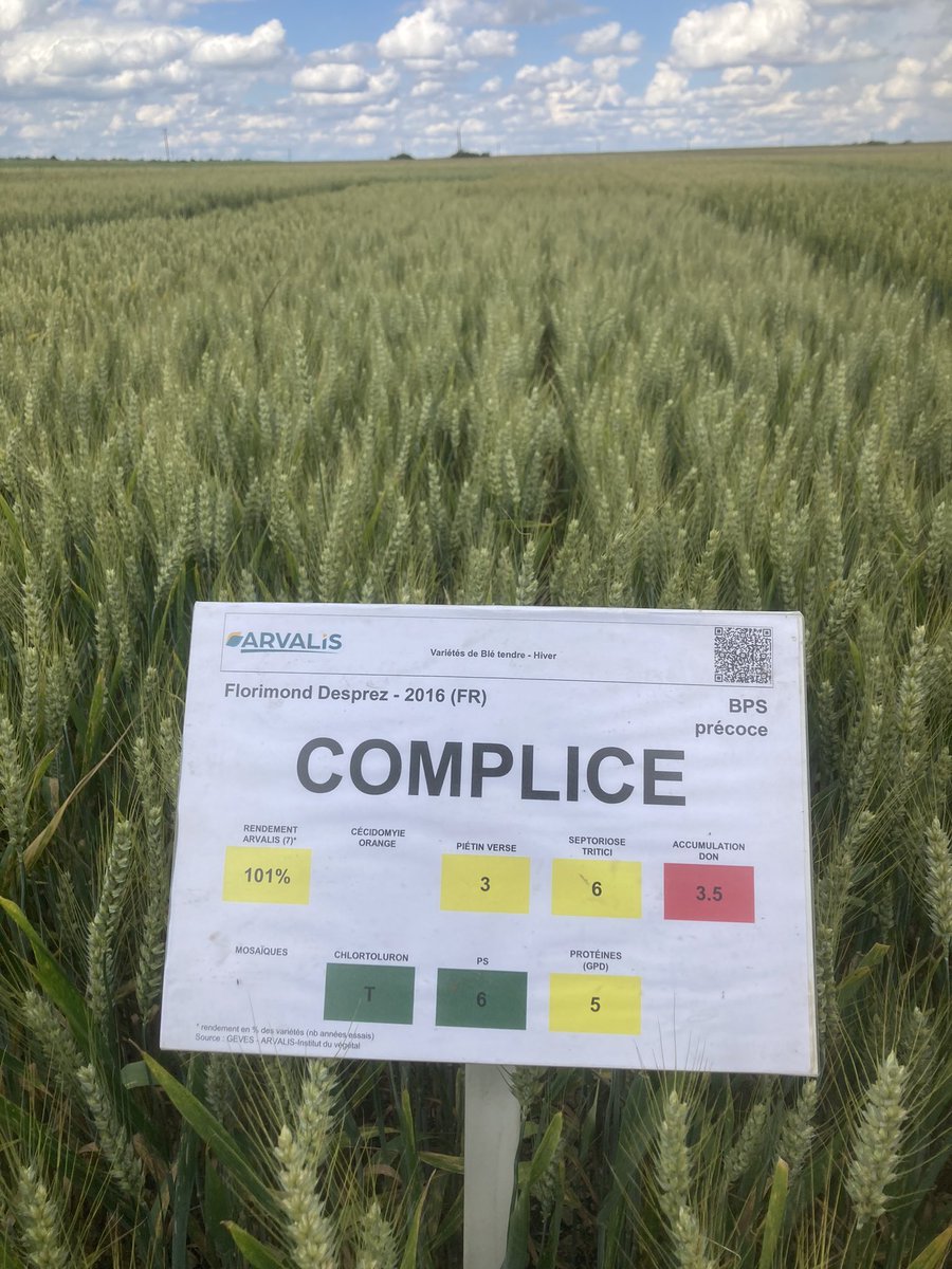 OlivierCOSTE2's tweet photo. J’ai eu une pensée lors de ma visite chez
#CeuxQuiFontLesEssais #Arvalis,à toi le Complice entre les nouvelles variétés de #blé pour la #Moisson2025.
Je souhaitais aussi féliciter Léa,Diane et l’équipe @Arvalisofficiel #Bourgogne de cette journée enrichissante. https://t.co/ewVo7spo7X