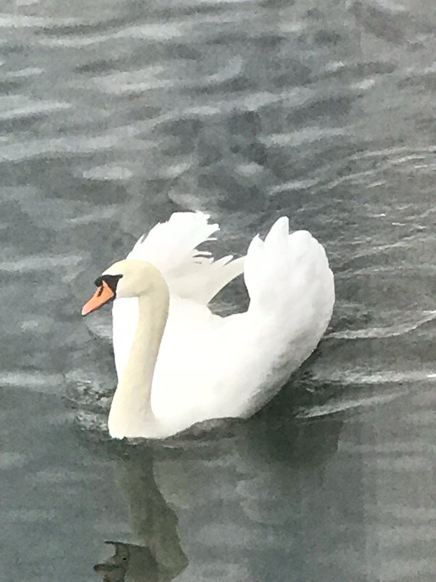workplace_east's tweet photo. @VikingCruises https://t.co/icgbqGYBvs