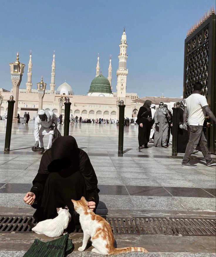 2018Rawdaa's tweet photo. هذي الديار التي يهنى النزيل بها 
نِعمَ الديارُ ونعم الرَبع والجارُ ﷺ. https://t.co/chIIEGXvmh
