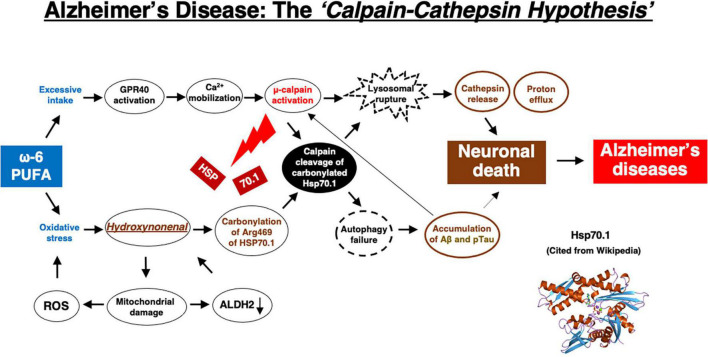 MEATrition.com 🥩 - Travis Statham M.S. Nutri-Sci tweet media