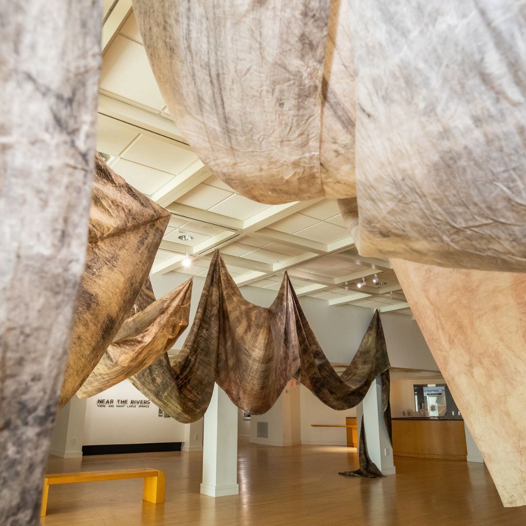 CoralSpringsMOA's tweet image. Our current exhibits in the Main + East galleries showcase the Florida landscape through the eyes of talented South Florida artists. Visit us to experience art that speaks for our changing environment &amp;amp; explore the works of our amazing artists. 🌿 

On View 'til July 20th #CSMoA