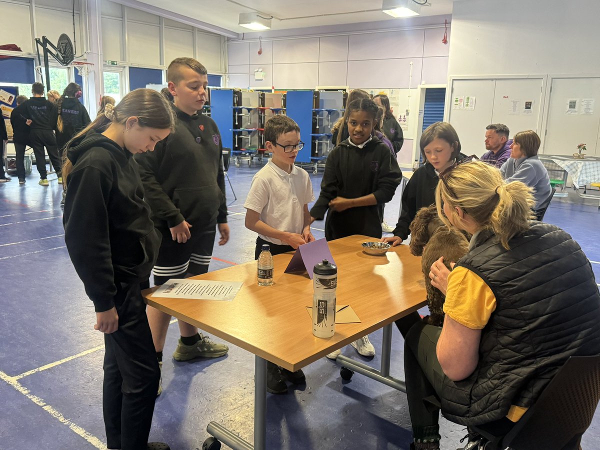 BoghallPSch's tweet photo. Thank you so much to our amazing community who volunteered their time this afternoon to speak to our P7s about their careers! We loved hearing about your work &amp; journeys to get there 💜 @WLCDYW @DYWScot https://t.co/QmptnOPoa9