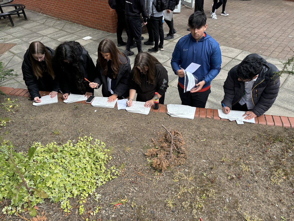 Miss Whyte ⭐️ tweet media