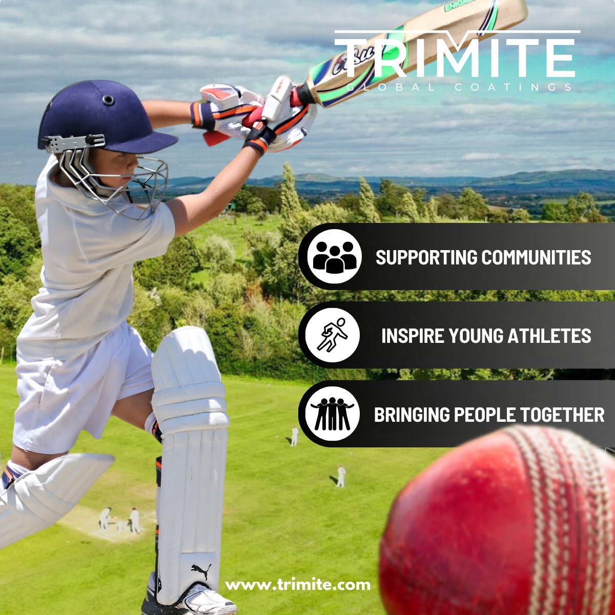 Trimite tweet picture
