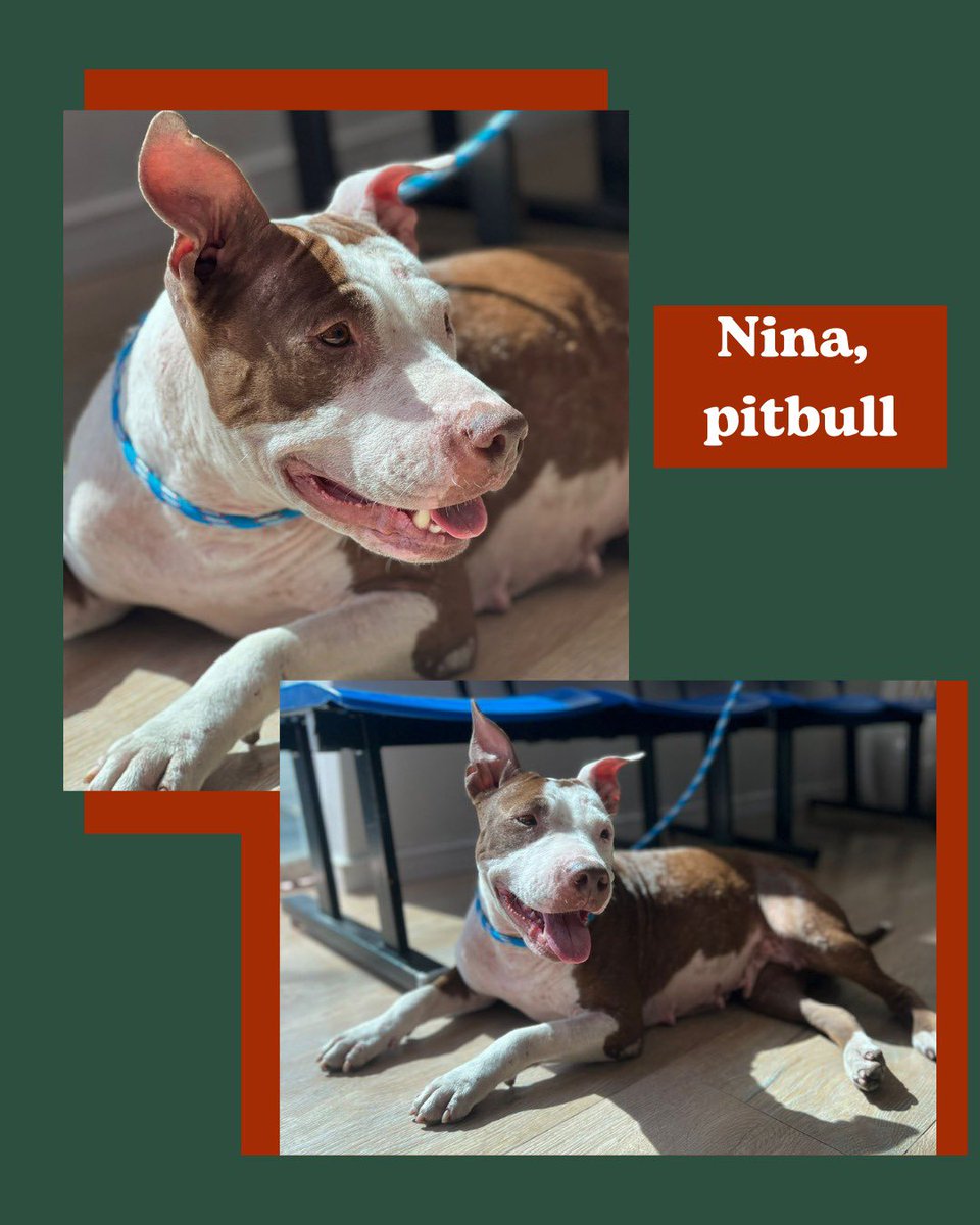 Giulia Granchi tweet media