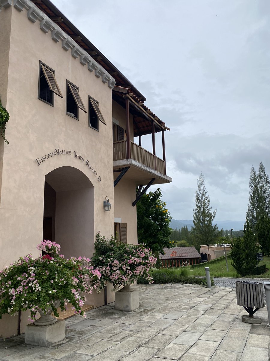 عفاف tweet media