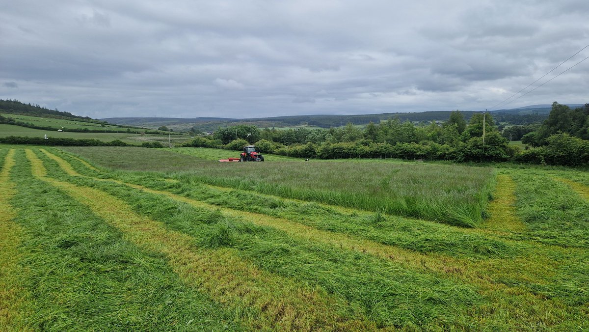 Edinvale Farm 🌱🐂 tweet media