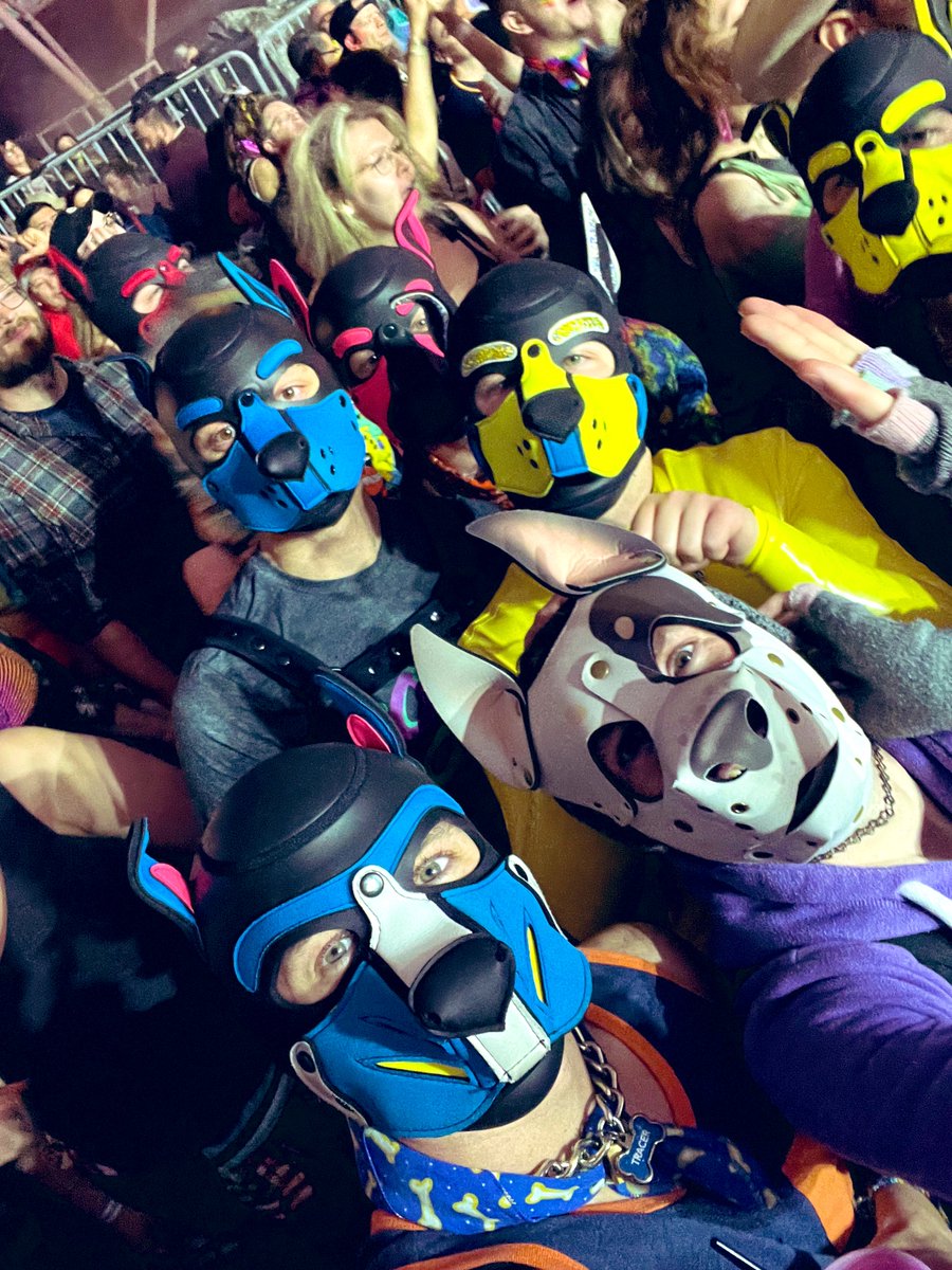 ⚡️ Tracer ⚡️ tweet media