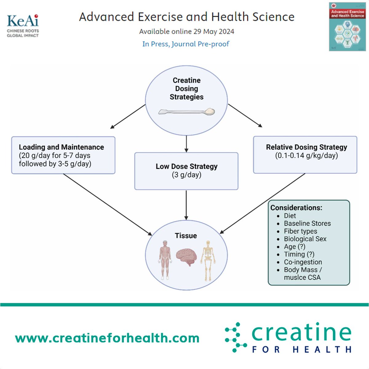 #Creatine
Since the late 1990s, there has been substantial research investigating the beneficial effects of creatine supplementation on measures of muscle accretion and performance, bone structure, and brain function across a variety of populations.

📚doi.org/10.1016/j.aehs…