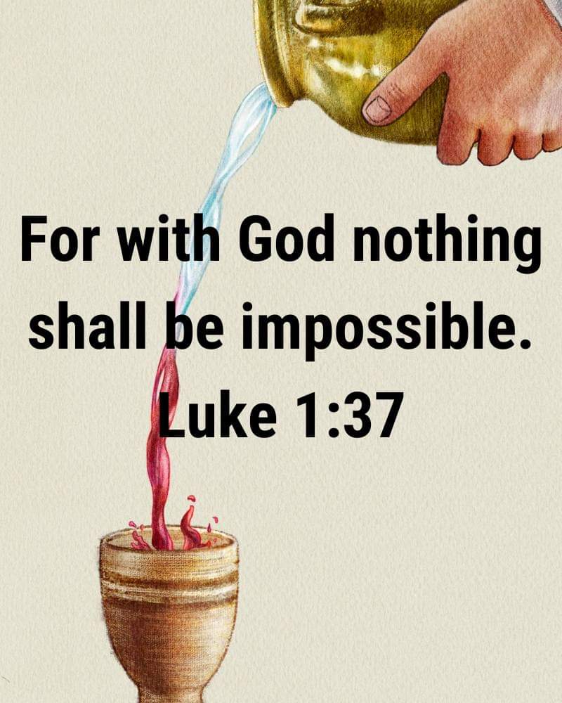 AAmirKh50764293's tweet image. Be strong and of a good courage, fear not, nor be afraid of them: for the Lord thy God, he it is that doth go with thee; he will not fail thee, nor forsake thee.
Deuteronomy 31:6 ✝️❤️✝️