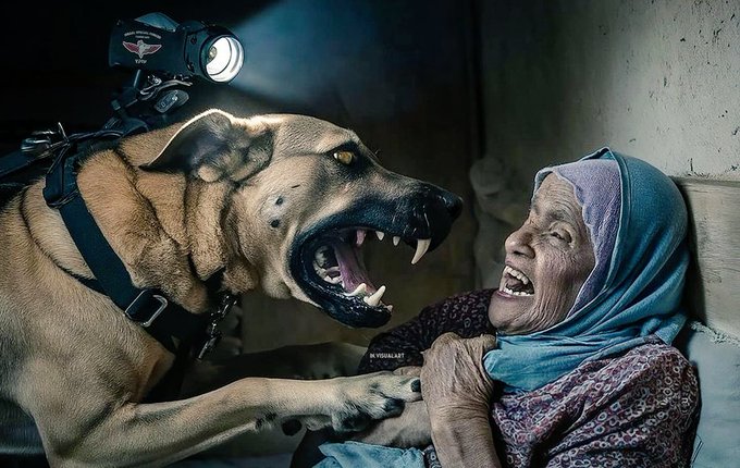 هي حرب بين البشر والكلاب!!
فاخترّ مع من ستقف؟؟
الصورة ليست من فيلم بل حقيقة من غزة!!