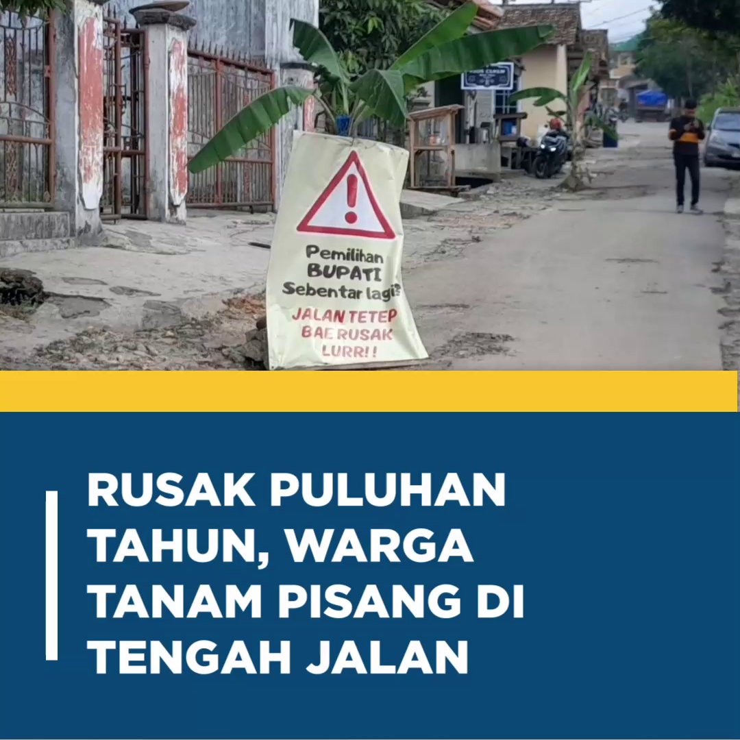Metro_TV's tweet image. Sejumlah warga Kampung Ciekek Hilir, Kabupaten Pandeglang, menanam pohon pisang di ruas jalan Ciekek-Kadomas, pada Selasa 25 Juni 2024.

#jalanrusak #banten #pandeglang #jalanrusakpandeglang #pohonpisang
