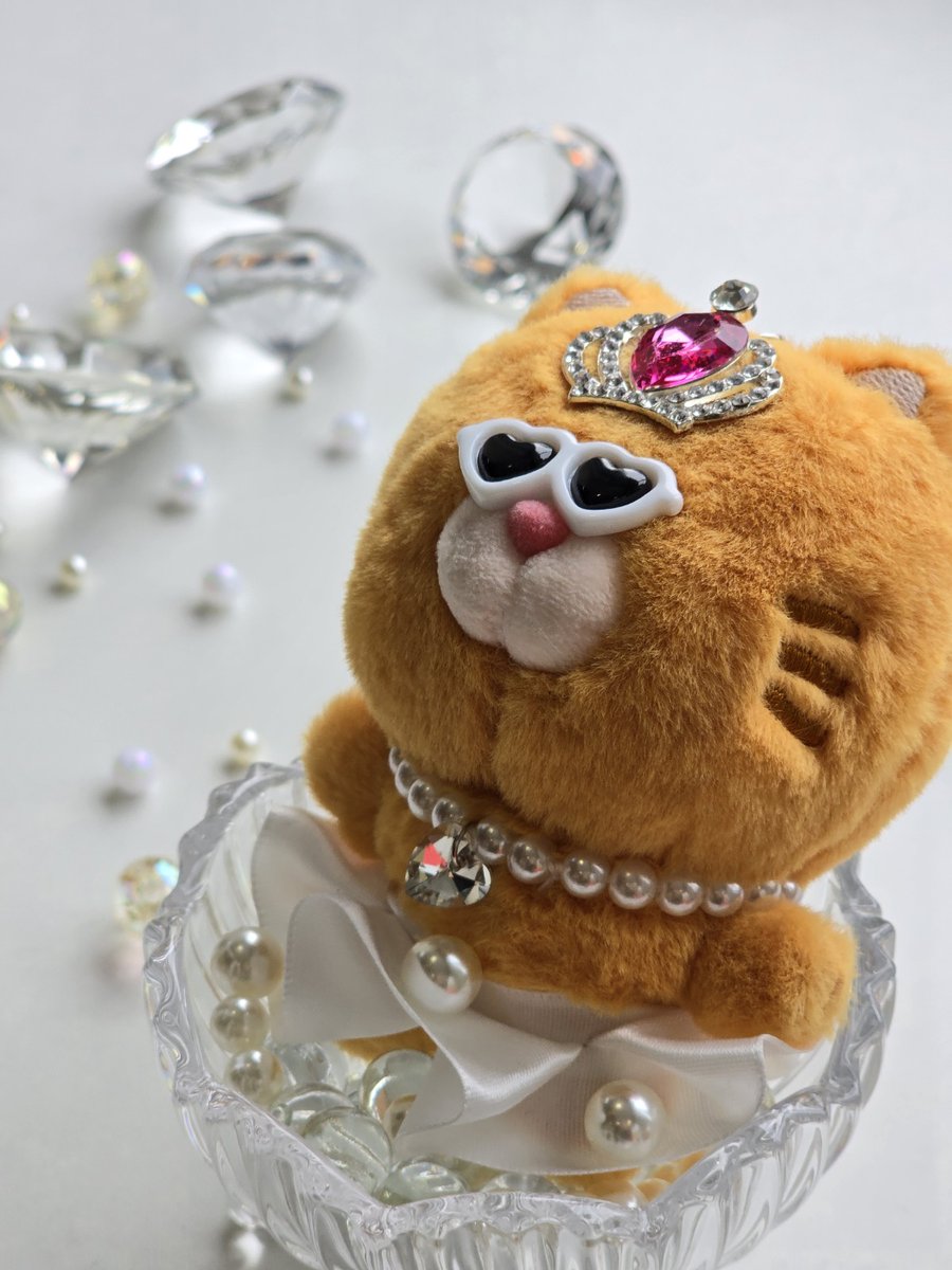 世界で一番エレガントな猫は？ それは、私 のらにゃん