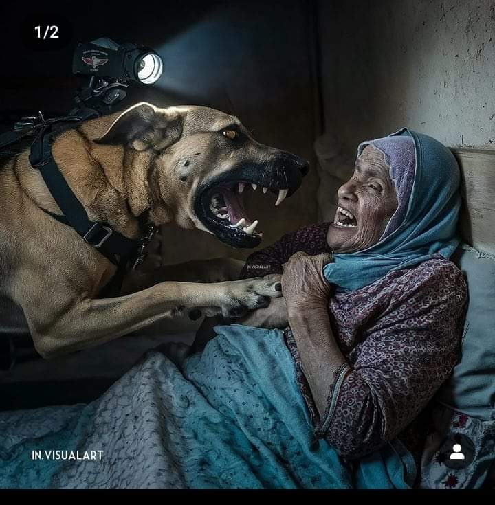bdoor0720's tweet photo. هُنا
أمام هذا المشهد الواحد ألف شعور
وهذا المشهد تكرر بصيغٍ مختلفة
رأيناه، رأينا الخوف فيه، ورأيناه مرارًا عديد
بين نساءٍ وأطفال شيوخ شباب رُضَّع كهول
لم يُرحم أحد
رأيناه ثم تألّمناثم صمتنا
يا لخذلاننا  يا لعارنايا لعروبتنا المنكوبة.
لا تُطيق الكلمات أكثر ربما سأشعر بخذلان أكبر https://t.co/G4C2uXWEEm