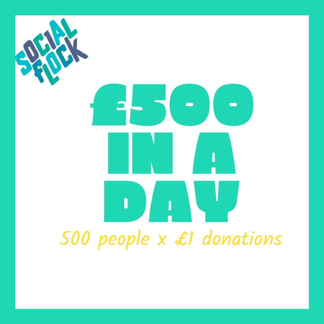 Social Flock Perth tweet media