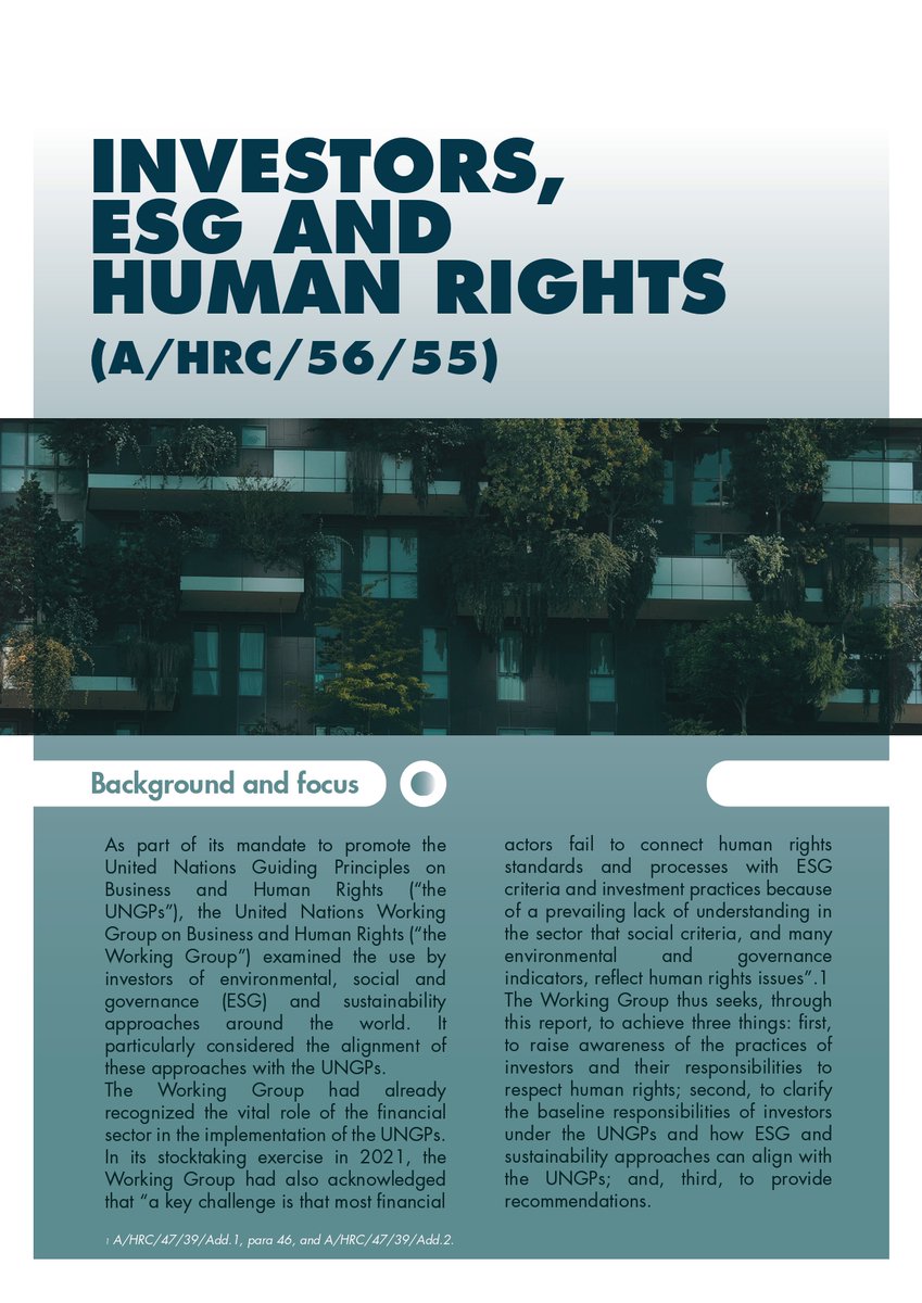 WGBizHRs's tweet image. The WG is pleased to share its report on Investors, ESG and human rights to be presented to the HRC later today! 

Read the full report here: ohchr.org/en/documents/t…

@InclusiveLaw @fernanda_ho @eastforeden @dsolawuyi @UN_SPExperts