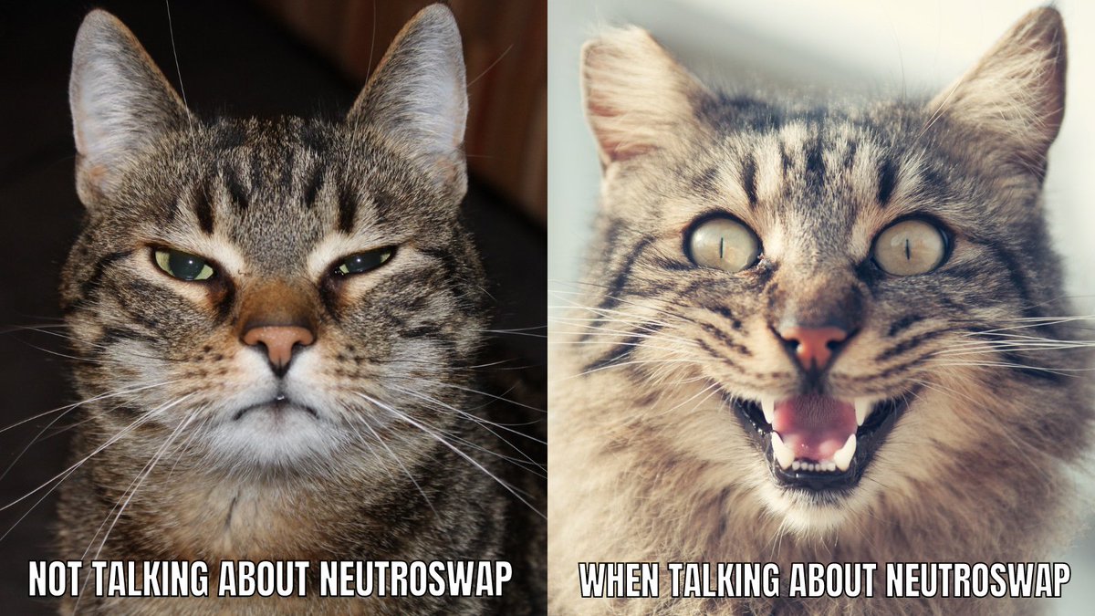 neutern only has 2 moods