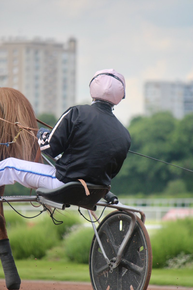 🗓️ MERCREDI 26 JUIN
📍 <a href="/HippodromeVichy/">Hippodrome de Vichy</a> 

🐴 404 Houffe du Flinois (🧤 A.Abrivard)

« Elle manque de chance ces derniers temps. Elle découvre un bel engagement et a toujours bien couru à Vichy. Elle est en mesure de refaire parler d’elle. »