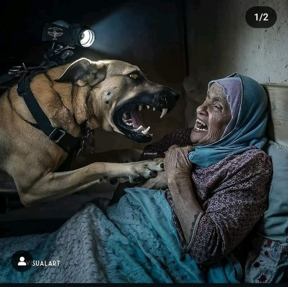 AhmadTheCesar1's tweet photo. مسنة من غزة  (أطلقوا كلابهم (الص هاينة ) عليا لأني رفضت اترك بيتي)

انا دلوقتي عرفت  ازاي الكعبة ستهدم في آخر الزمان وما احد يتحرك ...

#حازم_ابواسماعيل   #مرسي 
#غزة_تذبح_بصمت   #السيسي_الخائن_العميل 
#السيسي_خائن_وعميل   #غزه_الفاضحة https://t.co/p6etxkp9xF