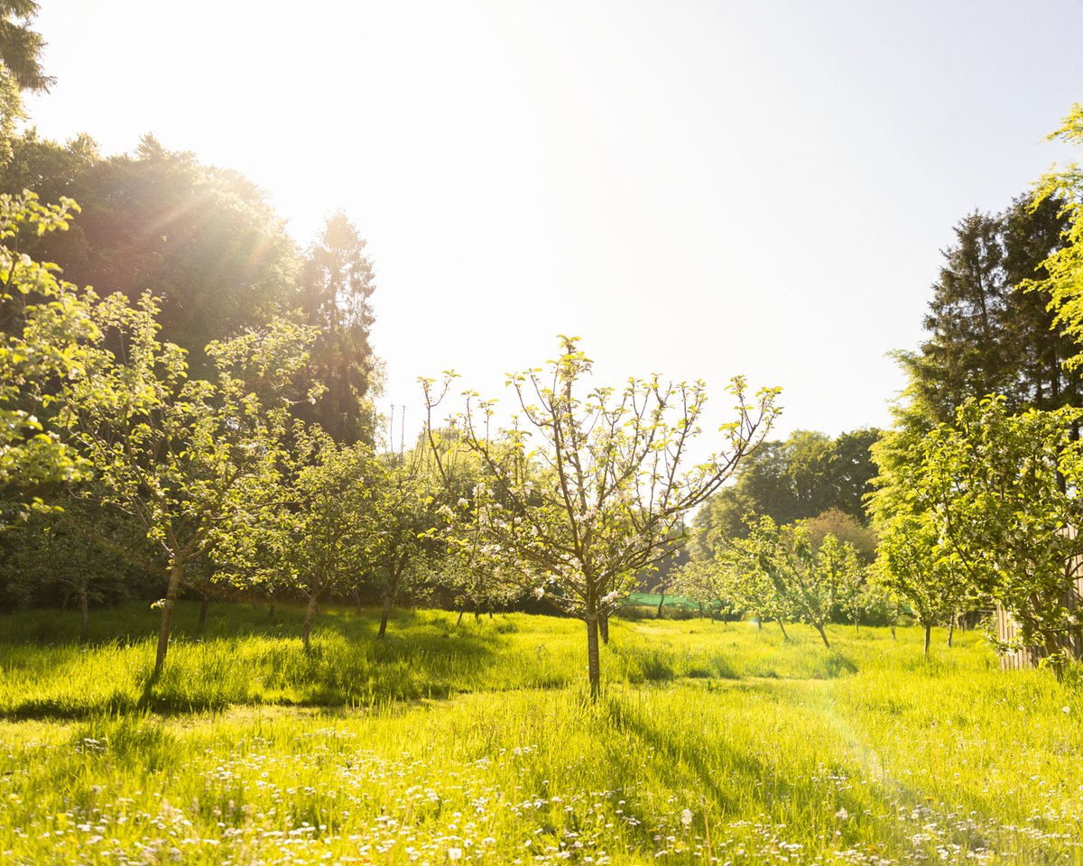 Kinross_House's tweet photo. The essence of summer ☀️

Lose yourself in breathtaking landscapes, embark on countless adventures, and bask in the serene embrace of nature. From rolling hills to glistening lochs, every vista unveils a new enchanting scene.

https://t.co/jbdNV4xC0u https://t.co/q0HYr76gXC