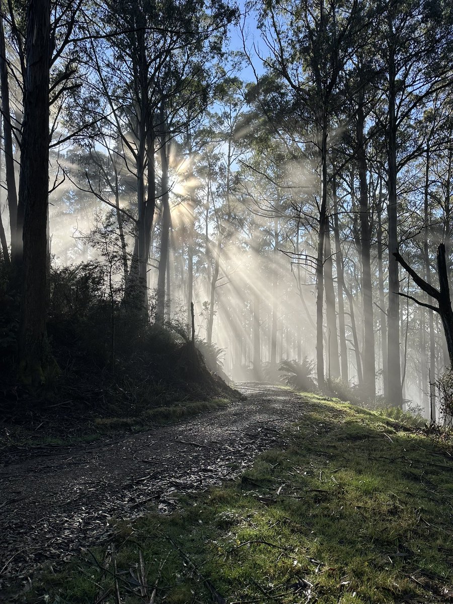The best views come to those who climb the highest peaks. Keep pushing and you'll be rewarded with breathtaking sights.
#trailrunning