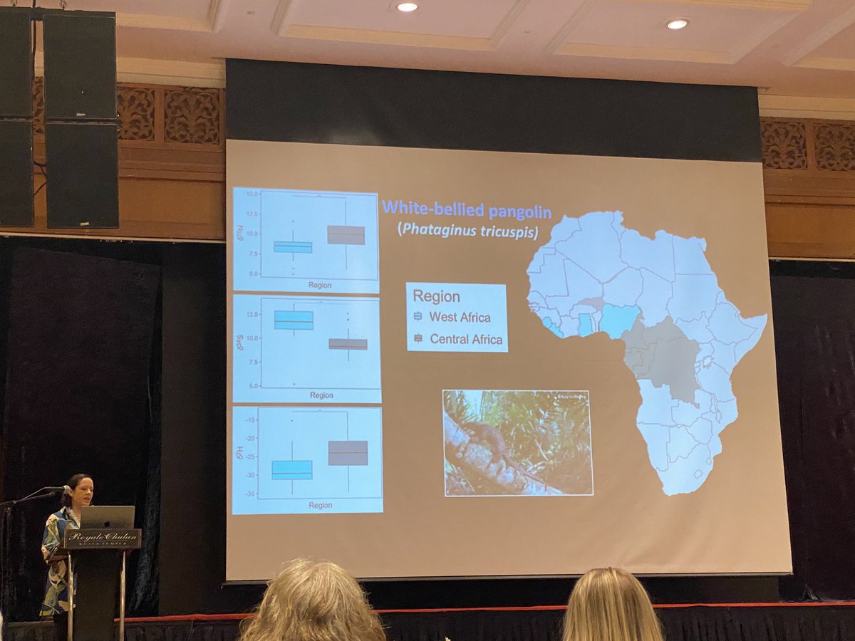 Chloe Hatten tweet media