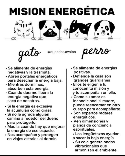 Odina01's tweet image. 