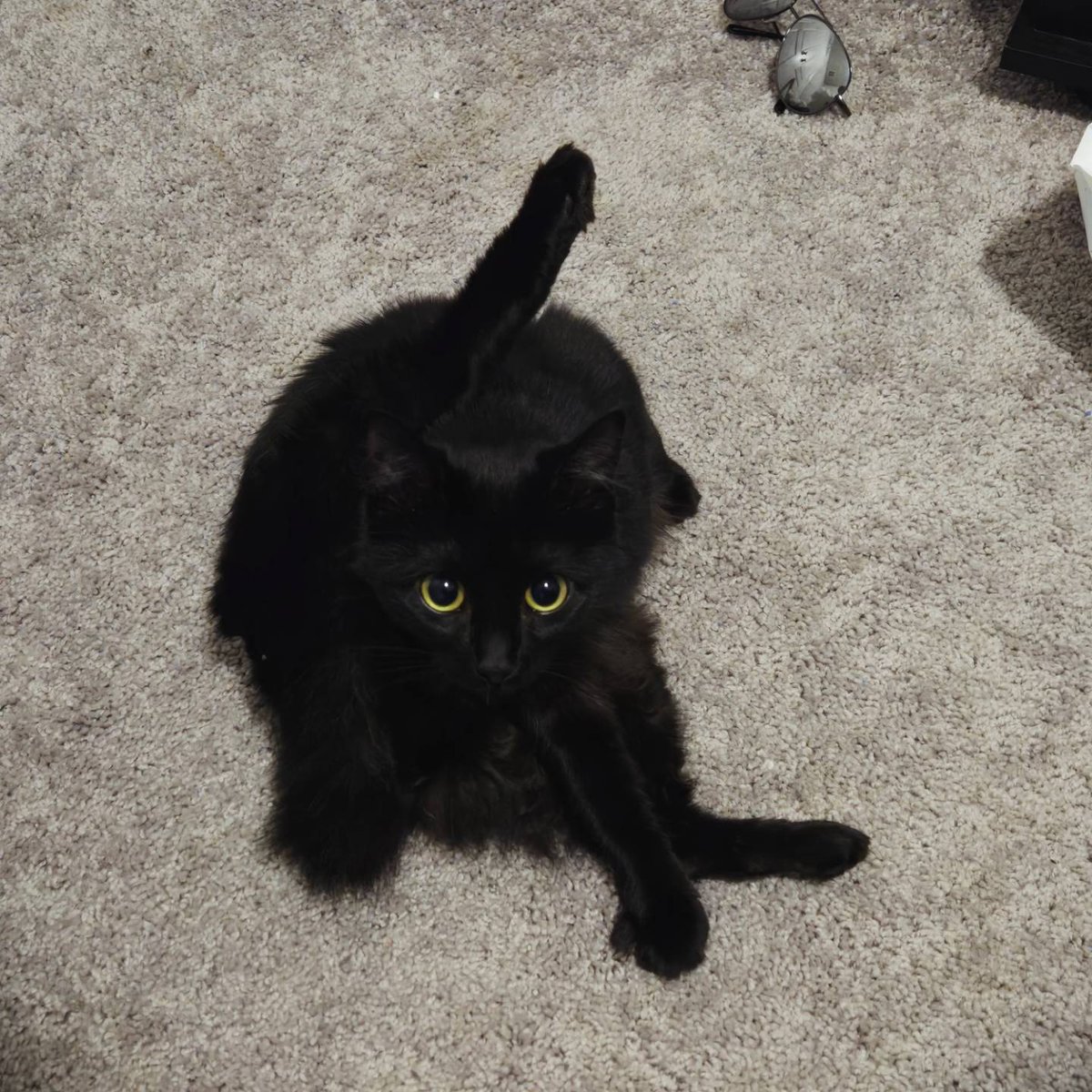 Norma & Zelda tweet media