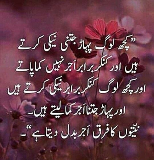 binty77325's tweet photo. *کوئی بھی غلطی ہو جائے تو اسکو تسلیم کرلیں* اور معافی مانگ لیں
چاہے وہ رب کے احکامات میں ہو خدانخواستہ 
یا 
پھر بندوں کے حقوق میں ہو!👈🏻 *دوسروں پر الزام تراشی چھوڑ دیجئے.. فلاں فلاں کی وجہ سے ایسا کیا میں نے* 
*لوگوں سےجھگڑے کو ختم کرنے کا سنہرا اصول ہے*

#TLP_Promotion https://t.co/f9LER0i1vO