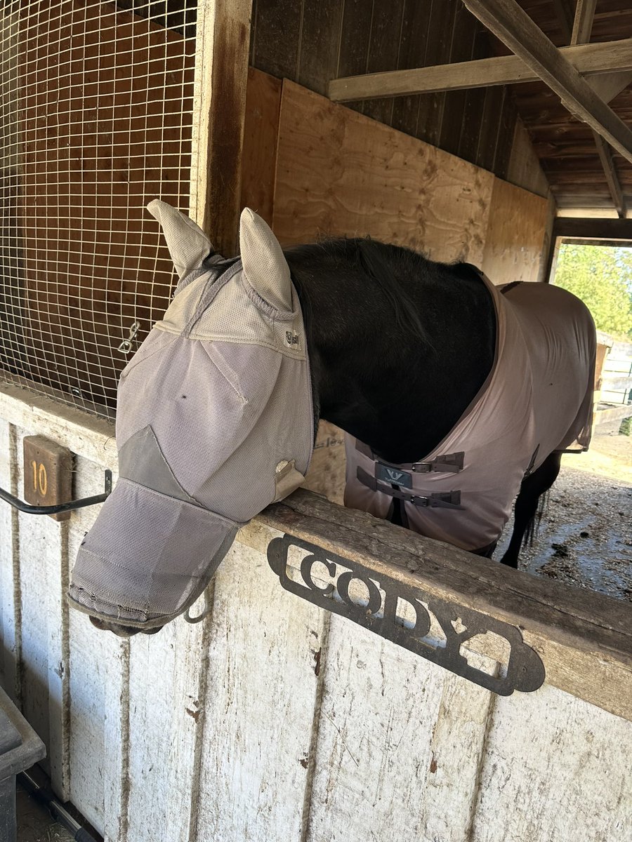 Batten down the hatches, boys!  It’s fly season!