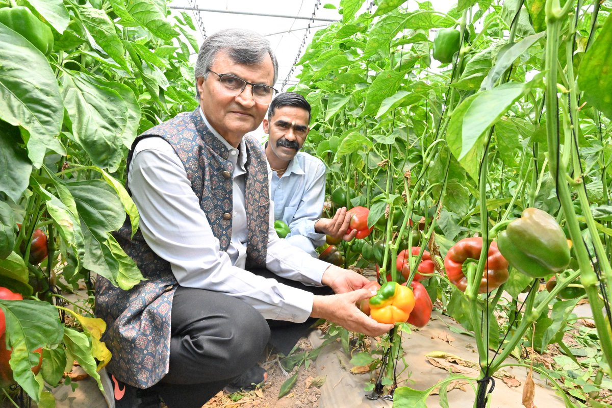 Ramesh Chand 🇮🇳 tweet media