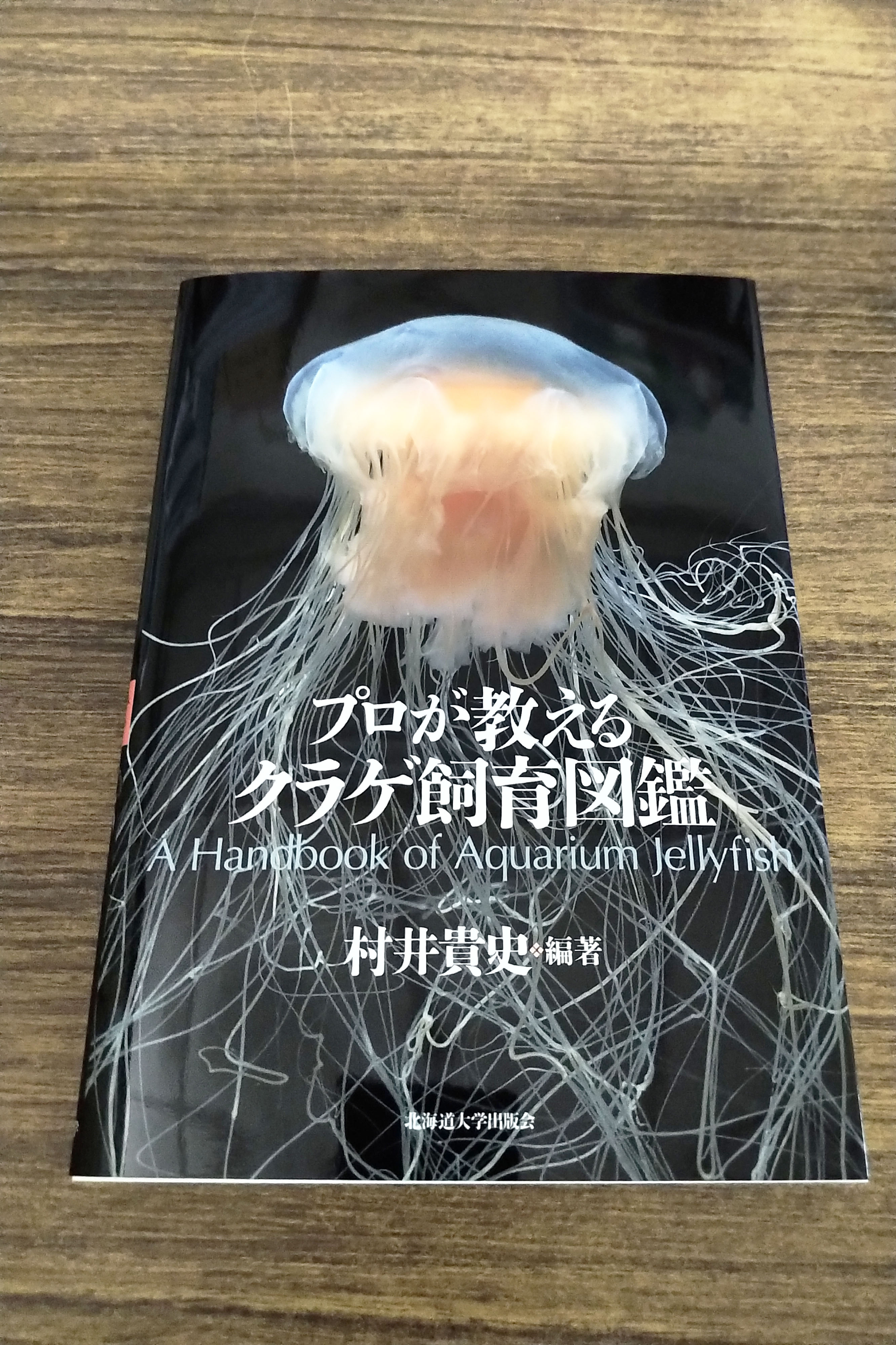 いおしゃんଳaether io on X: 