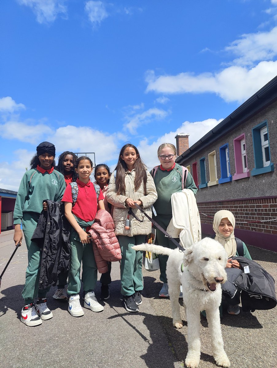 Glasheen Girls NS (@glasheengns) on Twitter photo Our amazing school dog Zoe has graduated from Puppy School and is now a fully qualified School Therapy Dog 🎓🏅 thank you for all the work you do and making our school truly pawesome 🐾
<a href="/mycaninecompani/">My Canine Companion</a> Our amazing school dog Zoe has graduated from Puppy School and is now a fully qualified School Therapy Dog 🎓🏅 thank you for all the work you do and making our school truly pawesome 🐾
<a href="/mycaninecompani/">My Canine Companion</a>
