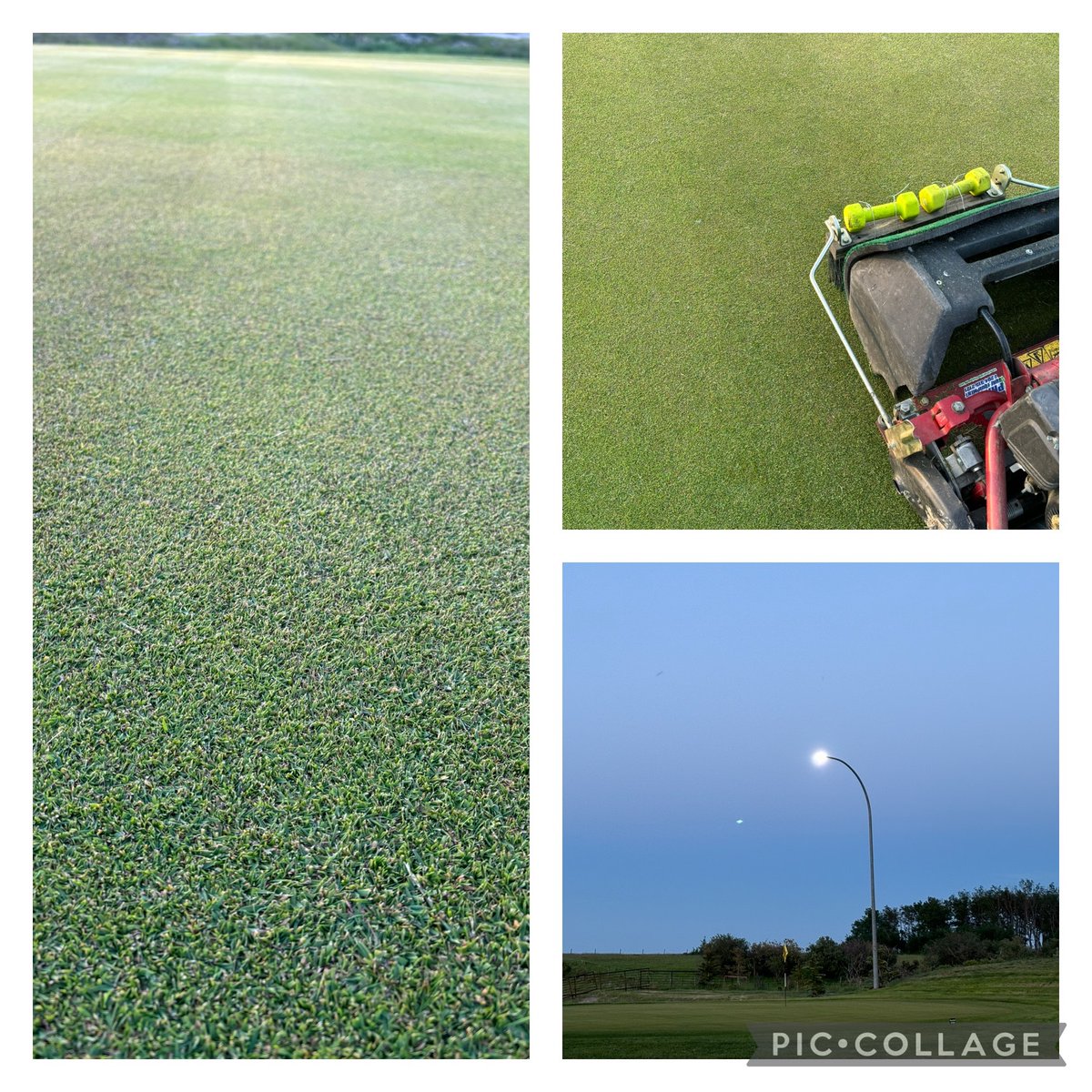 Champs Green hasn’t seen a lot of love lately. Spent the evening working on cleaning up some stragglers as it has only been getting cut 1 or 2 times a week. Also added a little more down pressure on the brush.