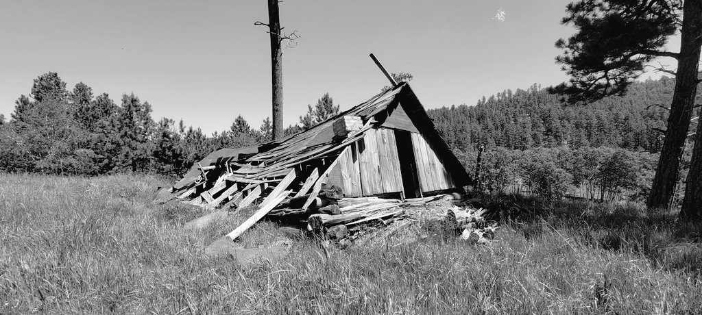 Adventure605's tweet photo. Old mining camps still dot the Black Hills landscape waiting to be discovered. This one dates back to the 1930s and is situated in a valley in the Northern Black Hills. This was a Tin Mining Camp. #Adventure605 #BlackHills #BlackHillsGhostTowns #BlackHillsGhostMines #History https://t.co/4flGDgP6tL