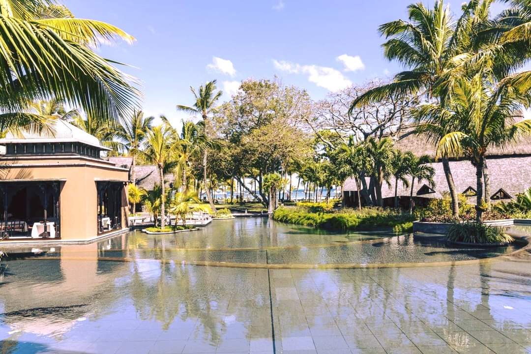 beachtag's tweet photo. There's something about the water
  - that solitary kind of peaceful feeling.
You're on earth but not quite.

📍Trou aux Biches Beachcomber Golf Resort &amp; Spa - Common area

Let it flow!
quote@beachtag.co.za
https://t.co/THuAoAbMwd
+27117595100

#beachcombermauritius https://t.co/RZn89yObo6