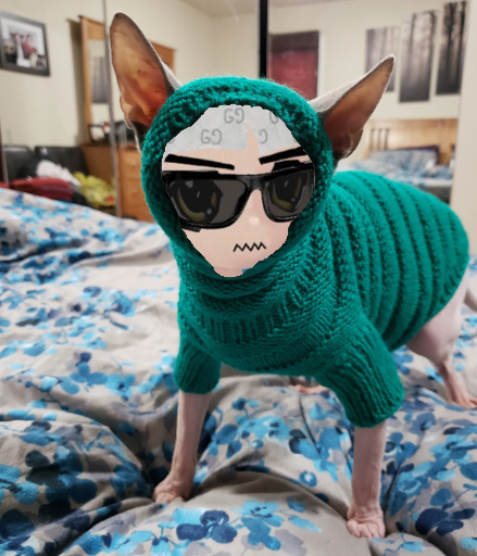 nft_johnny's tweet photo. @0xEnjooyer you just got jumped. 🫵

https://t.co/IMgEIJIObR https://t.co/kk2bSRnqOV