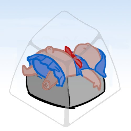 Isaac Chan tweet media