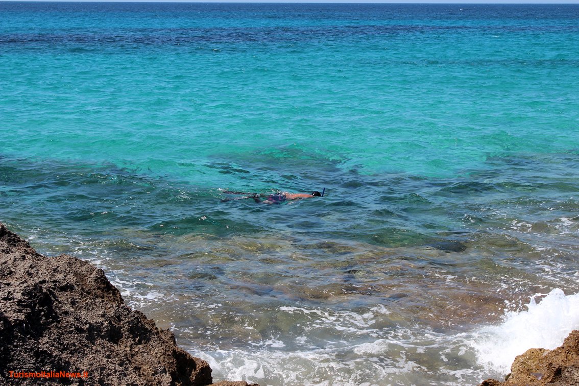 TurismoItaliaNw's tweet photo. PUGLIA | Vacanze in Salento: perché scegliere (e dove soggiornare) nei pressi delle Maldive del Salento
Leggi la notizia https://t.co/0wJfwkzwgd
#puglia #salentodamare #salento #maldivedelsalento #spiaggedasogno #estate2024 #adonde #weareinpuglia #turismo @WeAreInPuglia https://t.co/CsdudsD8Pg