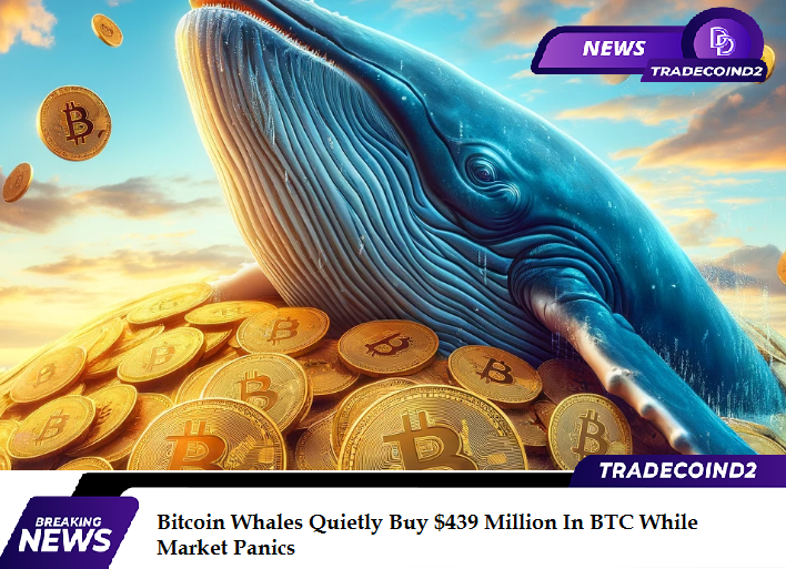 Bitcoin News          
Crypto News          
June 26, 2024          
$BTC 61.755 $ETH 3.390
<a href="/TradeCoinD2/">Trade Coin D2</a> 

Bitcoin Whales Quietly Buy $439 Million In BTC While Market Panics
According to data from the market intelligence platform IntoTheBlock, the largest wallets on the Bitcoin