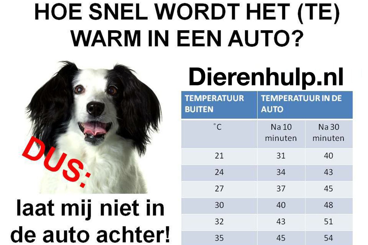 #Warmte #hitte #dieren hond in de auto