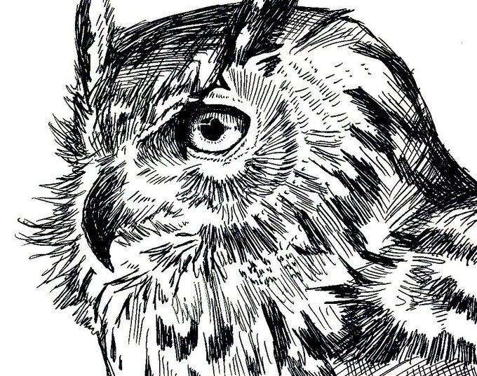 基本は動物描きですが、人物も描きます。 #動物イラスト #人物イラスト #絵描きさんと繋がりたい #絵柄が好きって人にフォローされたい