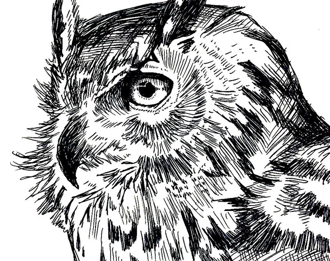 基本は動物描きですが、人物も描きます。 #動物イラスト #人物イラスト #絵描きさんと繋がりたい #絵柄が好きって人にフォローされたい