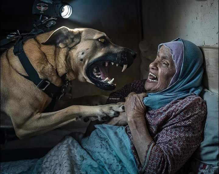 The most "moral army".
Your beloved israHell did this. I am sorry I can't post the video.