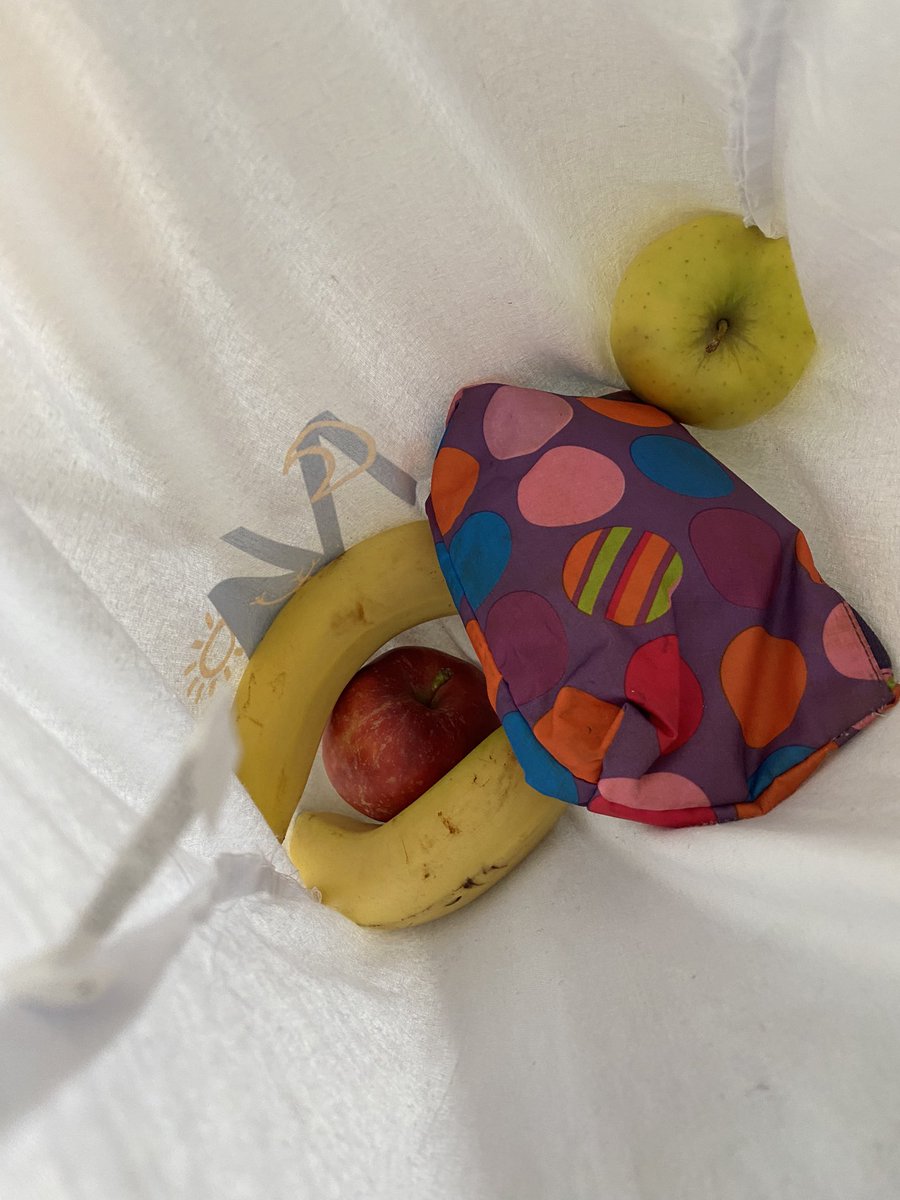 When you are a #youngPI and you want your chicks eat fruits as a snack at #fens2024