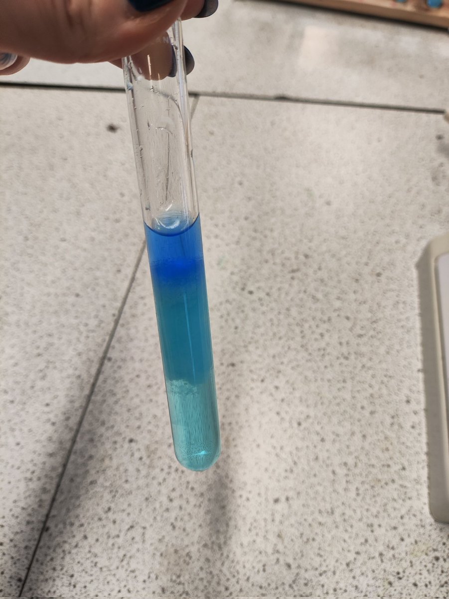 DrWittScience's tweet photo. Last week was intense with P7 visits. It was nice to meet my new S1. They are already in love with #Science😍 @DCHS https://t.co/QrpbgtjEUb