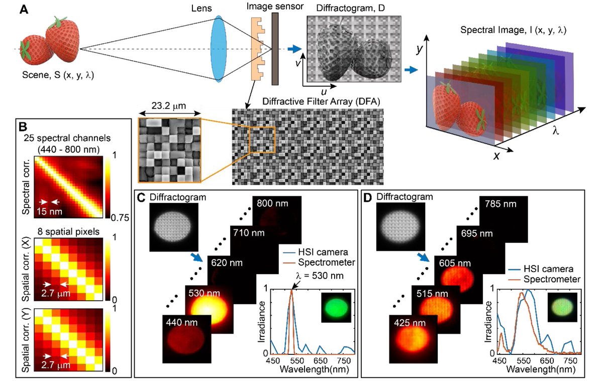 ssh4net's tweet photo. [2406.17302] “HD snapshot diffractive spectral imaging and inferencing” 
Apratim Majumder, Monjurul Meem, Fernando Gonzalez del Cueto, Fernando Guevara-Vasquez, Syed N. Qadri, Freddie Santiago, Rajesh Menon
https://t.co/9yZUoxQHFT

#phisics https://t.co/8pNruw9GFn