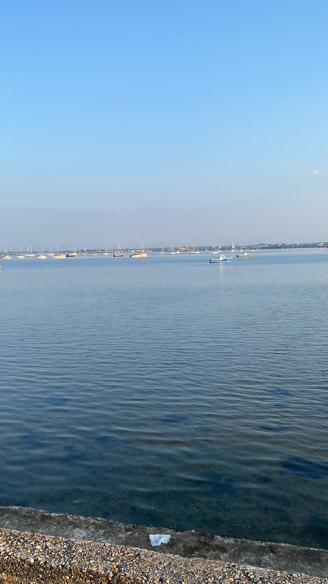 Fleur Carney tweet media