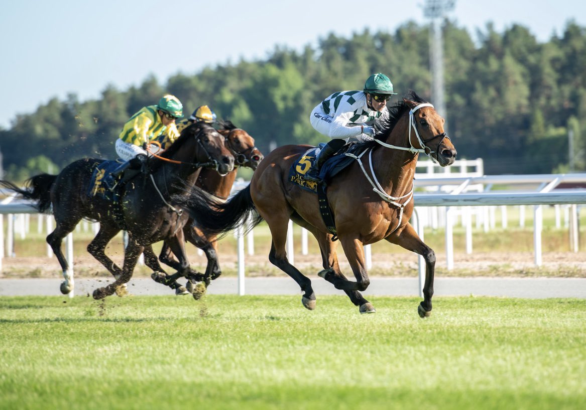 ElioneChaves's tweet photo. Aphelios wins  the Challenge Stakes ( L )🏆 
Well Done to all winning Connection and Thankyou to everyone involved ☺️🙌🏼 https://t.co/71FTf7HJeu